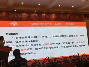 創(chuàng)新共贏 2018檳榔產(chǎn)業(yè)技術(shù)研討交流會(huì)助力技術(shù)推廣與服務(wù)升級(jí)