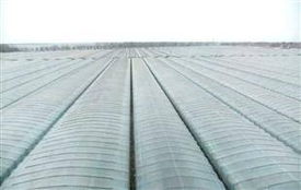 大棚膜選購指南 廠家、價格與批發(fā)全解析